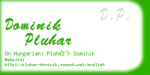 dominik pluhar business card